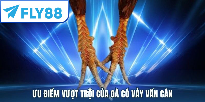 Vảy Gà Vấn Cán Là Gì? Cách Nhận Biết & Phân Loại Chuẩn 2025 5 Vảy gà vấn cán có những ưu điểm vượt trội